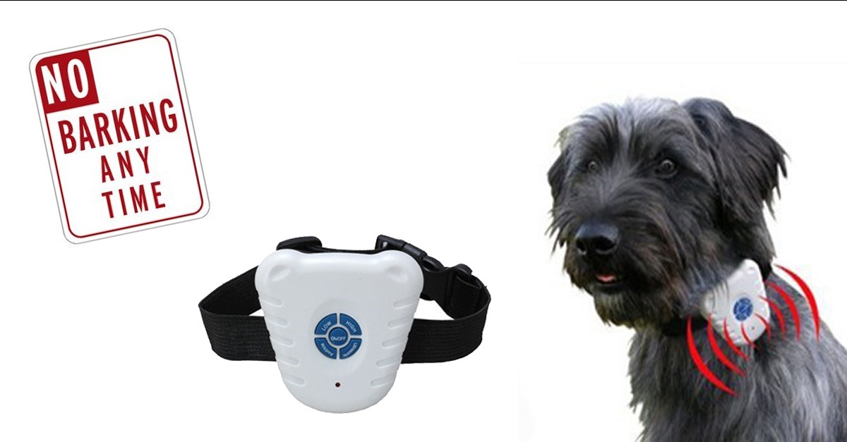 NoBark Dog Collar