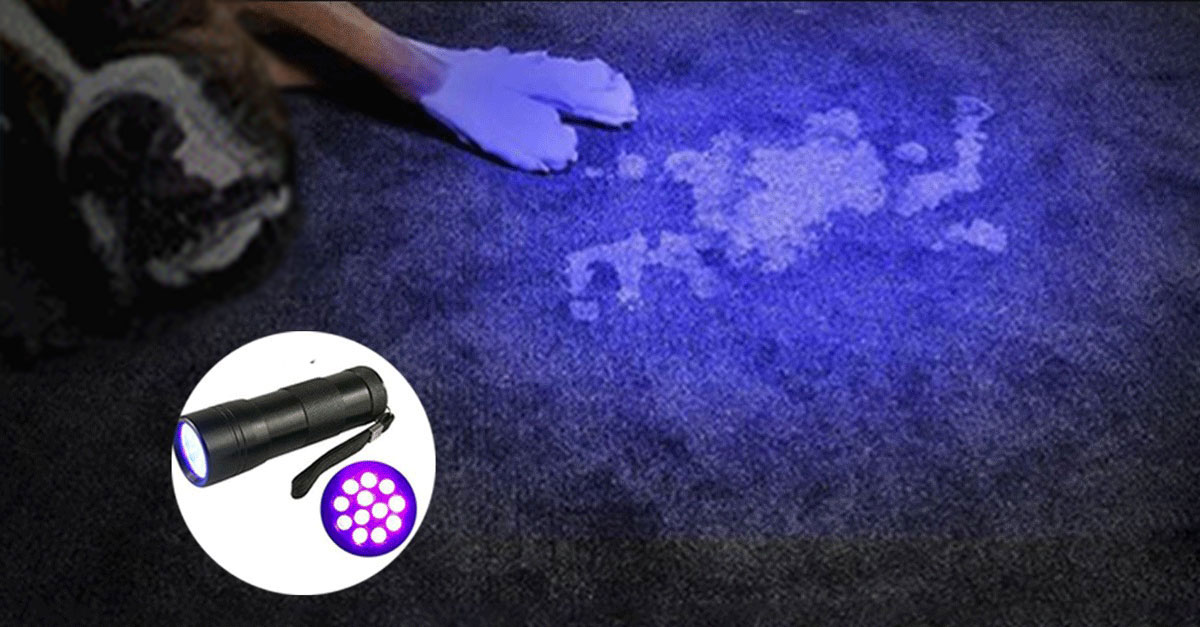 2 Pack Pet Urine Detector UV Flashlight
