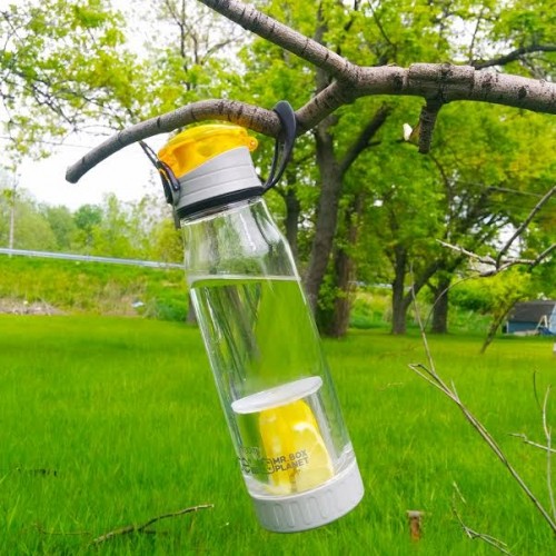 2in1 Tea & Fruit Infuser Water Bottle with Builtin Straw