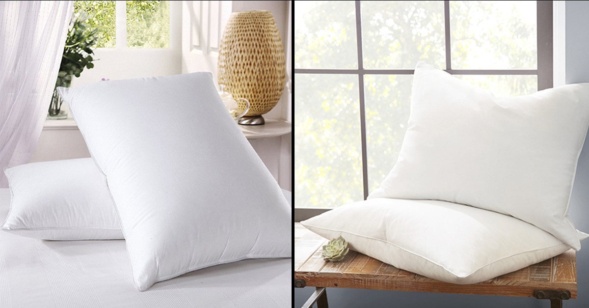 2 Pack Natural Down Pillow