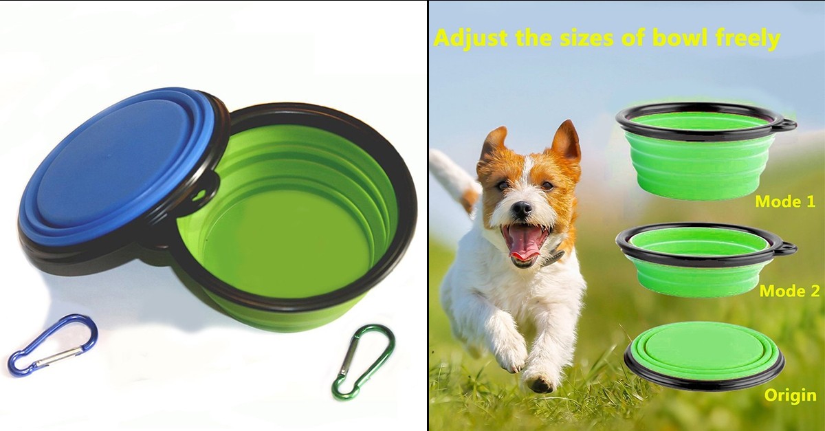 Collapsible Dog Bowl