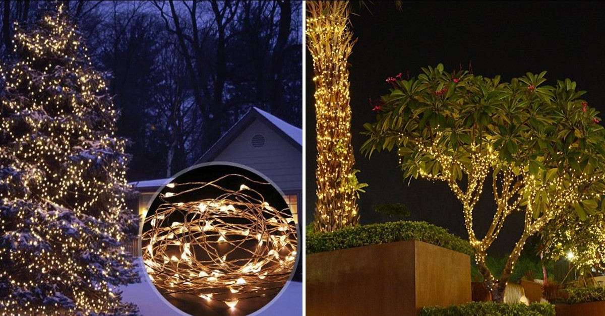 Solar Powered Holiday Lights for Outdoors